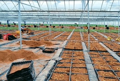 速讀市委十五屆二次全會暨全市經(jīng)濟(jì)工作會議報(bào)告